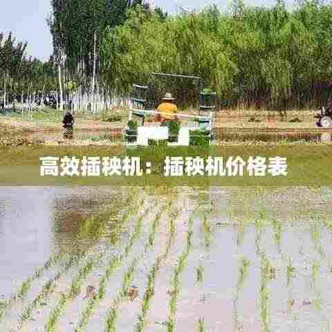 高效插秧机：插秧机价格表 