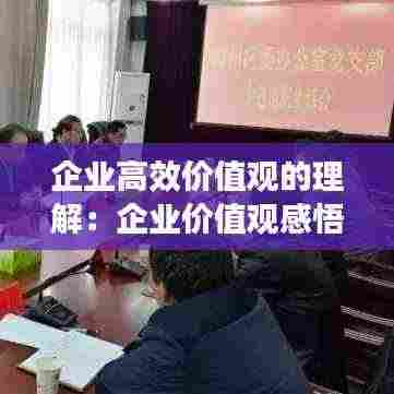 企业高效价值观的理解:企业价值观感悟心得体会