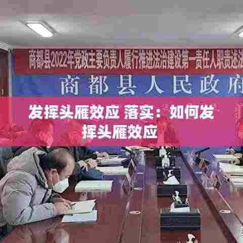 发挥头雁效应 落实：如何发挥头雁效应 