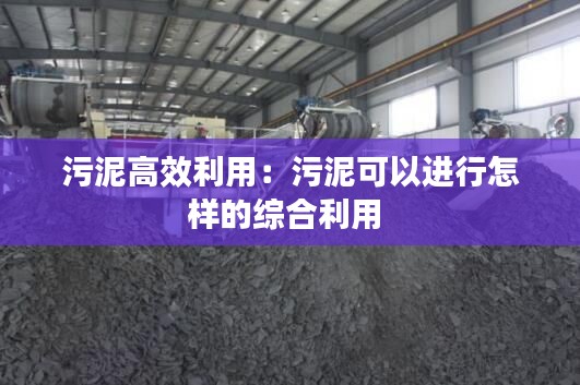 污泥高效利用:污泥可以进行怎样的综合利用