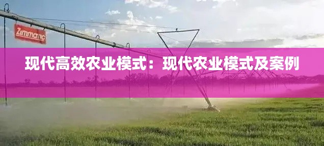 现代高效农业模式:现代农业模式及案例