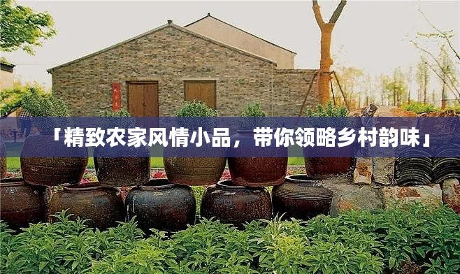 「精致农家风情小品，带你领略乡村韵味」