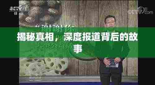 揭秘真相,深度报道背后的故事
