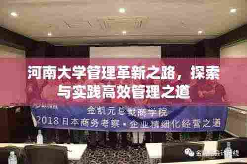 河南大学管理革新之路,探索与实践高效管理之道
