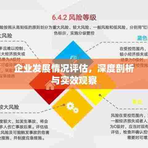 企业发展情况评估,深度剖析与实效观察