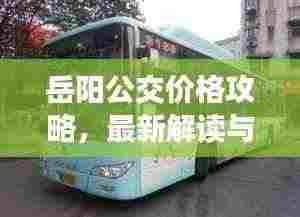 岳阳公交价格攻略，最新解读与优惠信息一网打尽