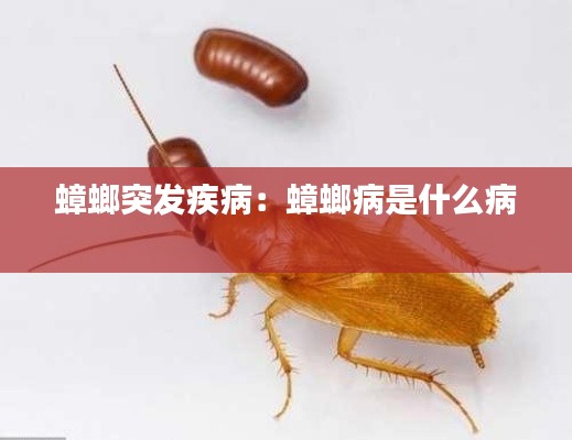 蟑螂突发疾病:蟑螂病是什么病