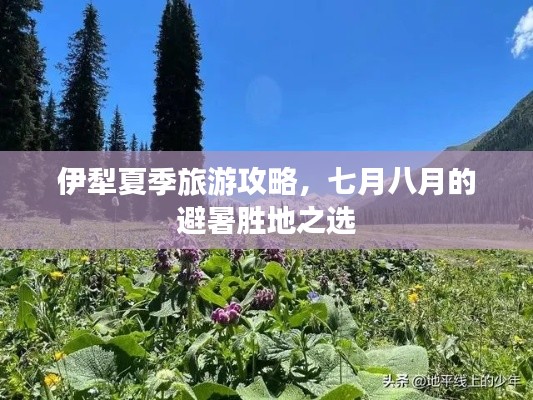 伊犁夏季旅游攻略,七月八月的避暑胜地之选