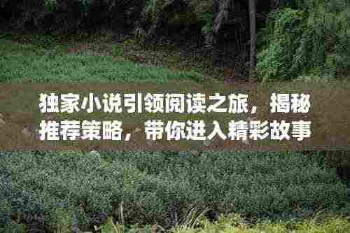 独家小说引领阅读之旅,揭秘推荐策略,带你进入精彩故事世界