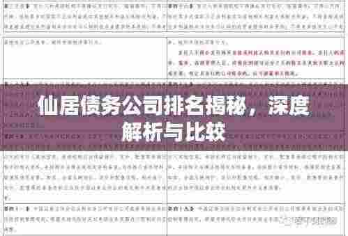 仙居债务公司排名揭秘,深度解析与比较