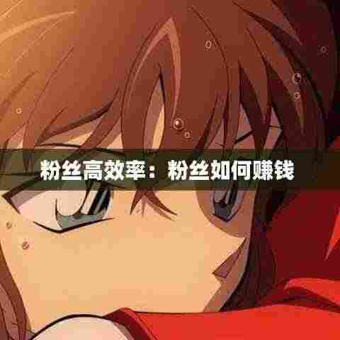 粉丝高效率：粉丝如何赚钱 