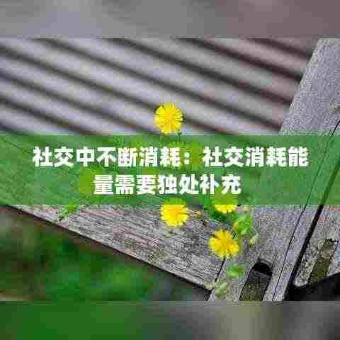 社交中不断消耗:社交消耗能量需要独处补充