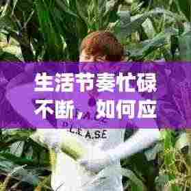生活节奏忙碌不断，如何应对挑战？实用建议助你轻松应对