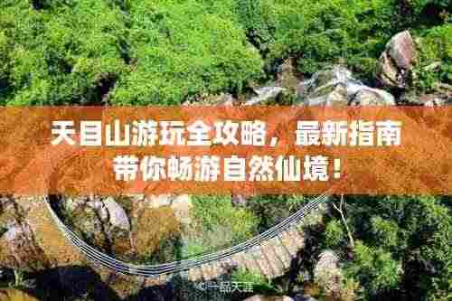 天目山游玩全攻略，最新指南带你畅游自然仙境！