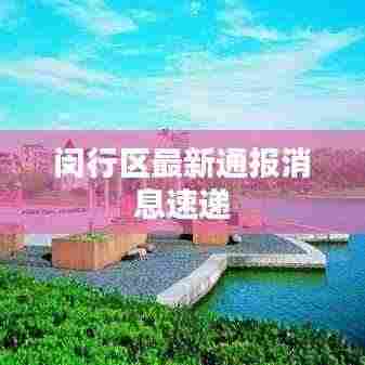 闵行区最新通报消息速递