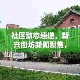 社区动态速递,新兴街坊新闻聚焦,民生关怀传递正能量