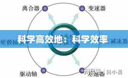 科学高效地:科学效率