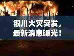 惨淡经营 第4页