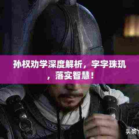 孙权劝学深度解析,字字珠玑,落实智慧!