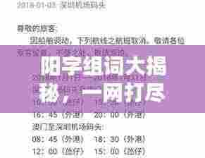 阳字组词大揭秘,一网打尽,探索与发现