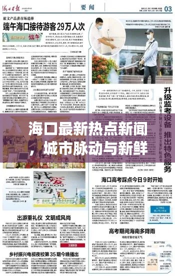 海口最新热点新闻，城市脉动与新鲜事回顾