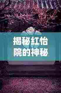 揭秘红怡院的神秘面纱，一探未知的世界