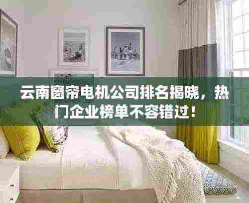 云南窗帘电机公司排名揭晓，热门企业榜单不容错过！