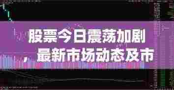 股票今日震荡加剧,最新市场动态及市场反应深度解析