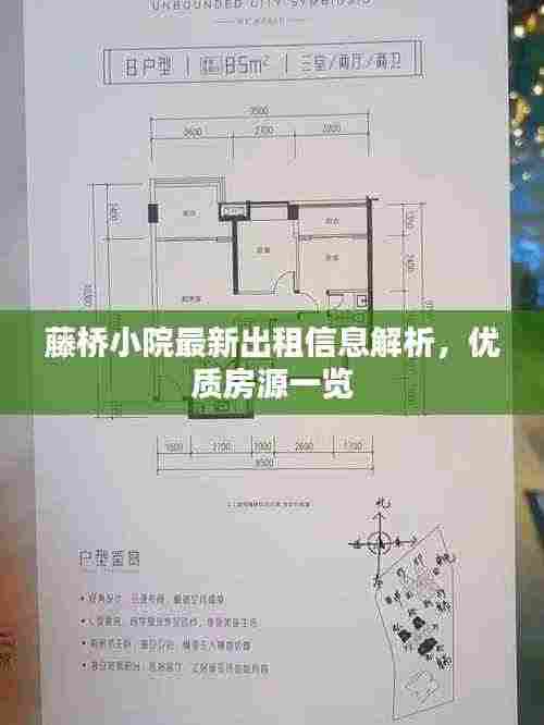 藤桥小院最新出租信息解析,优质房源一览