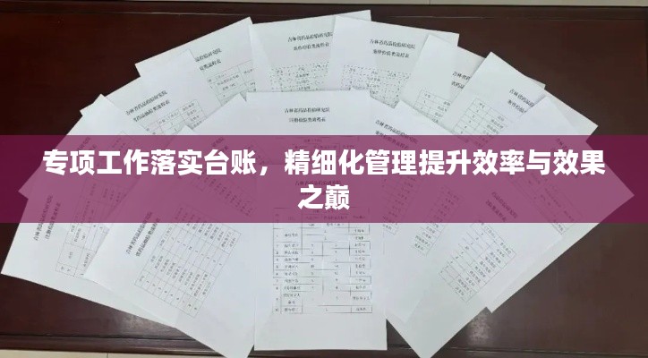 专项工作落实台账,精细化管理提升效率与效果之巅