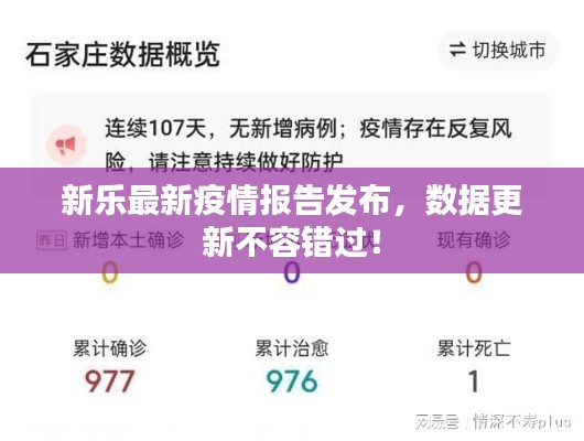 新乐最新疫情报告发布,数据更新不容错过!