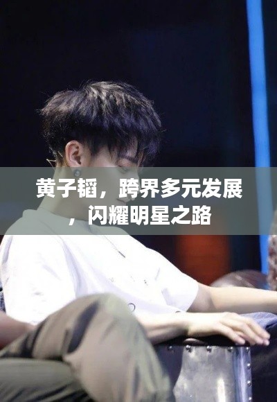 黄子韬，跨界多元发展，闪耀明星之路