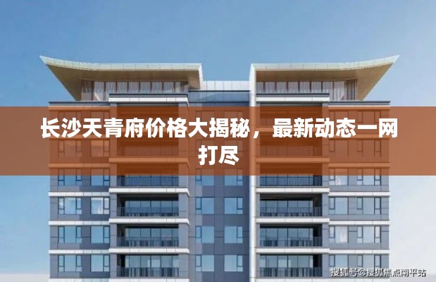 长沙天青府价格大揭秘,最新动态一网打尽