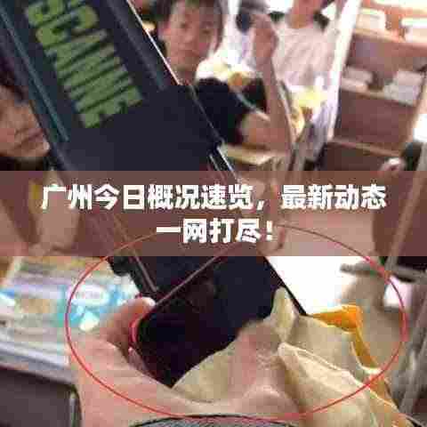 广州今日概况速览，最新动态一网打尽！