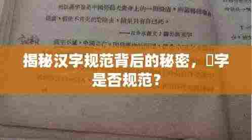 揭秘汉字规范背后的秘密,慜字是否规范?