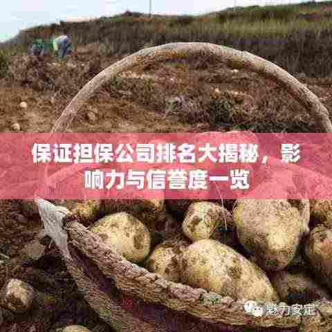保证担保公司排名大揭秘,影响力与信誉度一览