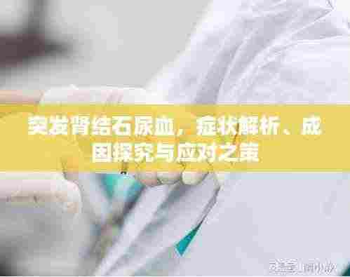 突发肾结石尿血,症状解析、成因探究与应对之策