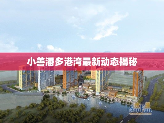 小善潘多港湾最新动态揭秘