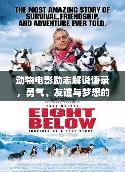 动物电影励志解说语录，勇气、友谊与梦想的震撼力量