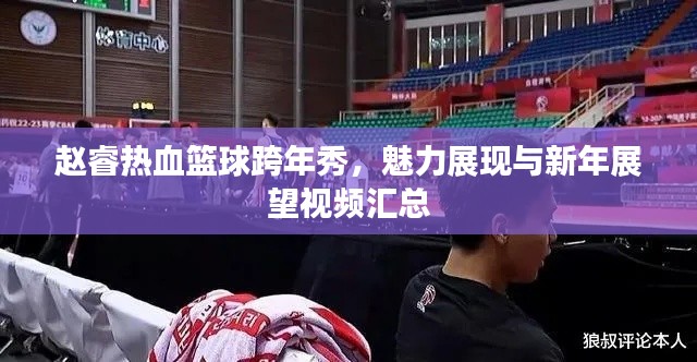 赵睿热血篮球跨年秀,魅力展现与新年展望视频汇总