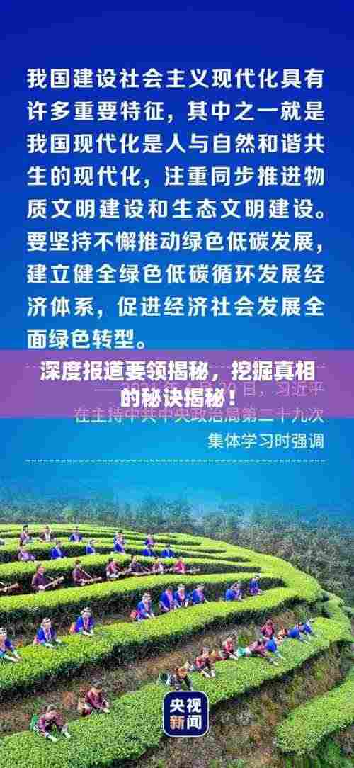 深度报道要领揭秘,挖掘真相的秘诀揭秘!