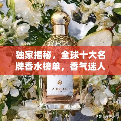 独家揭秘,全球十大名牌香水榜单,香气迷人上榜品牌全解析!