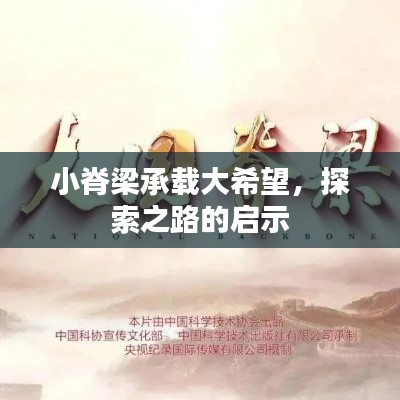 小脊梁承载大希望,探索之路的启示