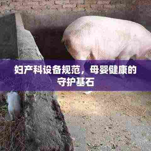 妇产科设备规范,母婴健康的守护基石