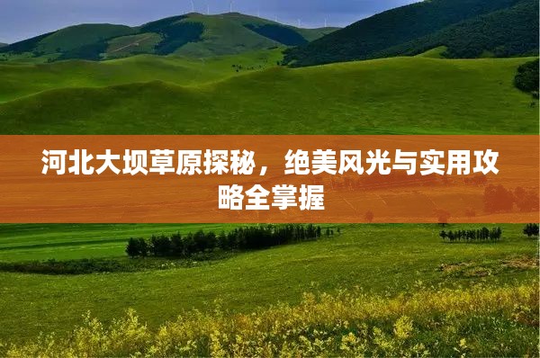河北大坝草原探秘，绝美风光与实用攻略全掌握