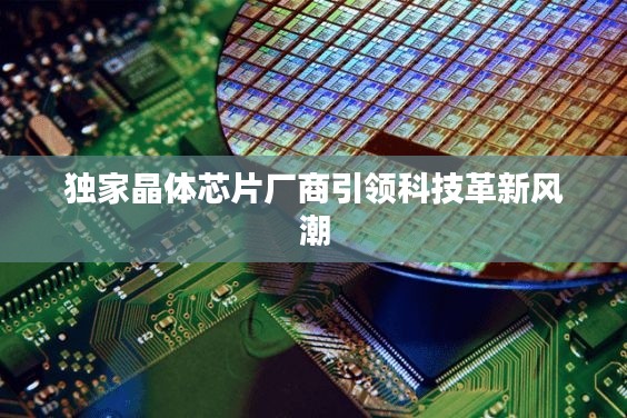 独家晶体芯片厂商引领科技革新风潮