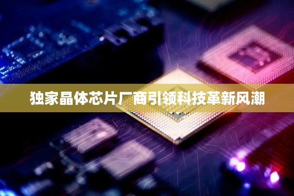 独家晶体芯片厂商引领科技革新风潮
