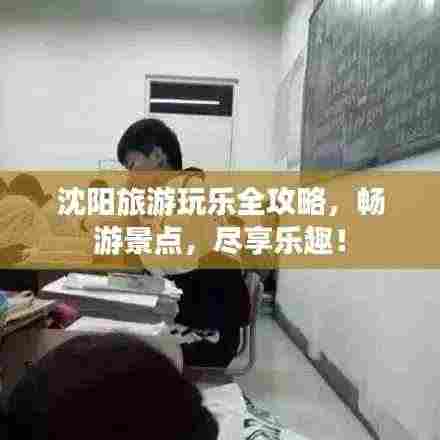 沈阳旅游玩乐全攻略,畅游景点,尽享乐趣!