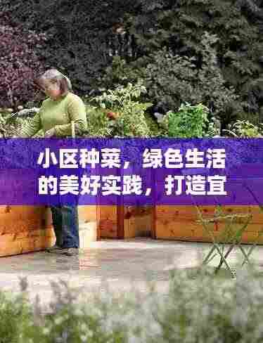 小区种菜，绿色生活的美好实践，打造宜居环境！
