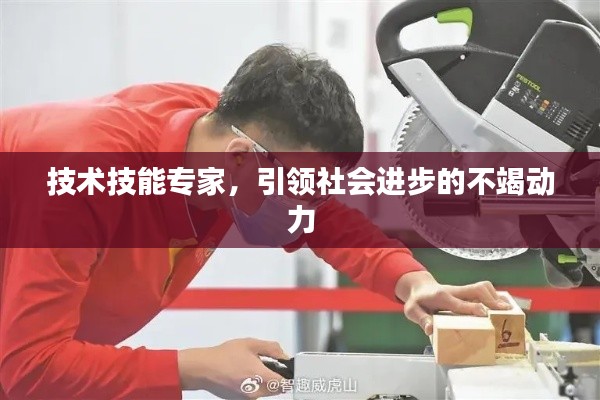 技术技能专家,引领社会进步的不竭动力